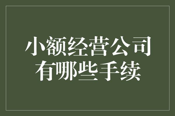 小额经营公司有哪些手续