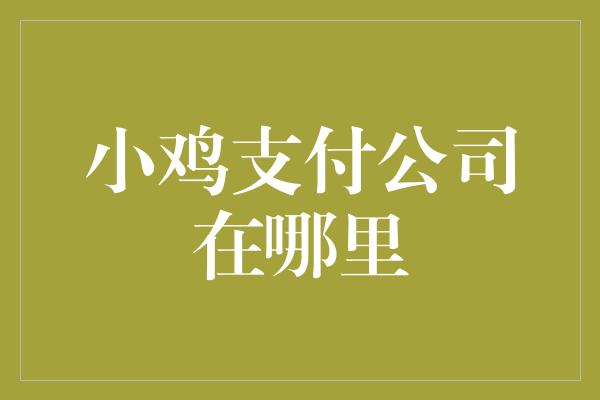 小鸡支付公司在哪里