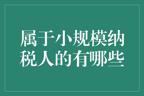 属于小规模纳税人的有哪些