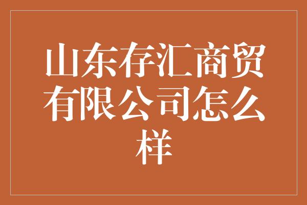 山东存汇商贸有限公司怎么样