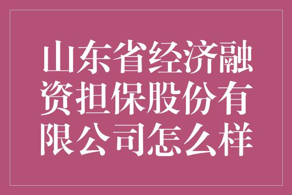 山东省经济融资担保股份有限公司怎么样