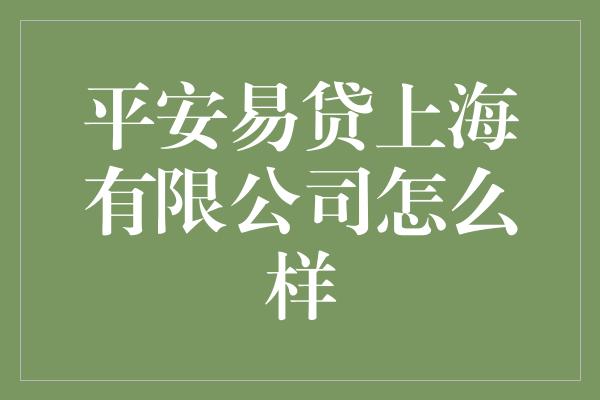 平安易贷上海有限公司怎么样