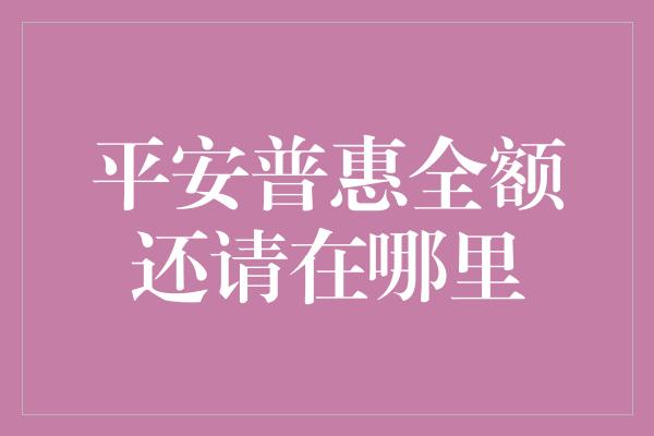 平安普惠全额还请在哪里