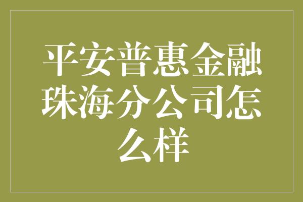 平安普惠金融珠海分公司怎么样