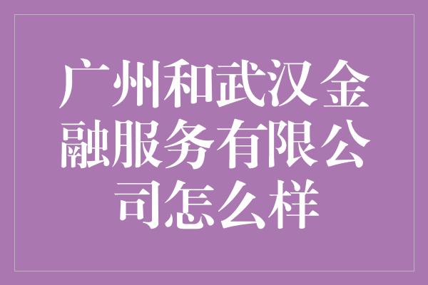 广州和武汉金融服务有限公司怎么样