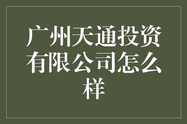 广州天通投资有限公司怎么样