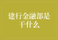 建行金融部的神秘任务：金融界中的超级英雄