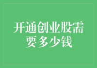 开通创业股所需资金：从入门到精通的全方位解析