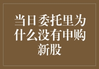 新股申购不见踪影？揭秘背后的秘密！