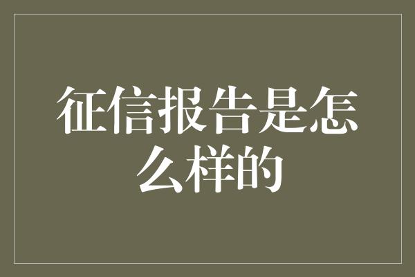 征信报告是怎么样的