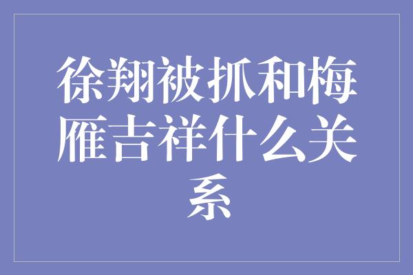 徐翔被抓和梅雁吉祥什么关系