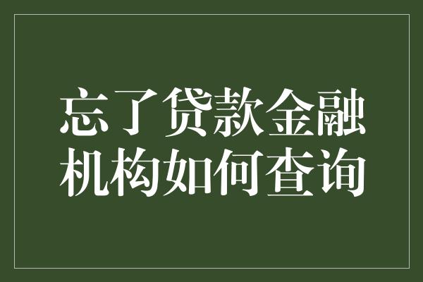 忘了贷款金融机构如何查询