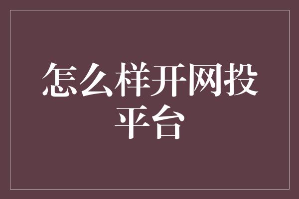 怎么样开网投平台