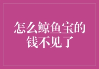 鲸鱼宝：您的钱去哪儿了？