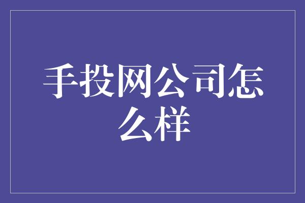 手投网公司怎么样