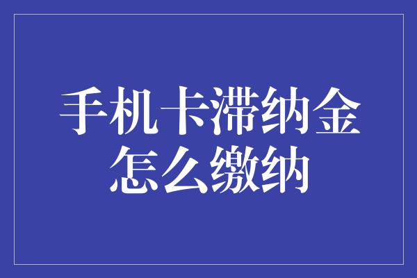 手机卡滞纳金怎么缴纳