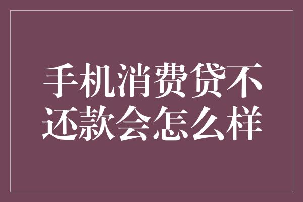 手机消费贷不还款会怎么样