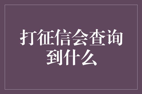 打征信会查询到什么