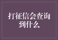 征信查询：你的人生账单，税务局麻辣烫？