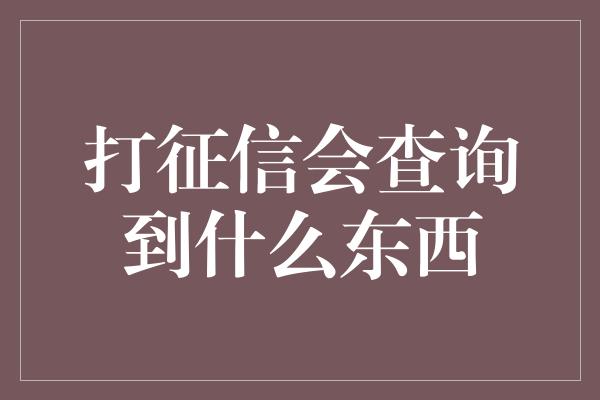 打征信会查询到什么东西