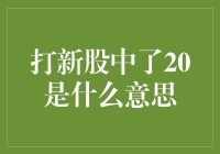 打新股中了20：一场数字背后的资本乐章