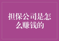 担保公司赚钱之道：风险管理、杠杆效应与市场策略