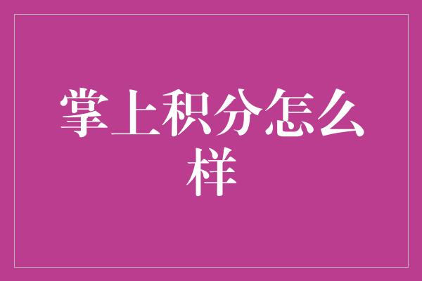 掌上积分怎么样