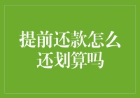 提前还款：是天上掉馅饼还是馅饼变成了烫手山芋？