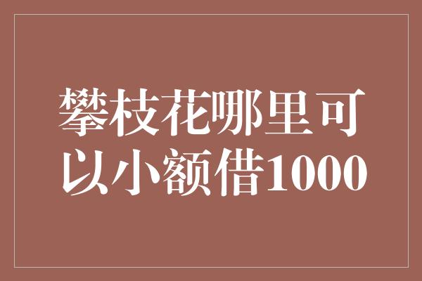 攀枝花哪里可以小额借1000