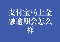 神秘「支付宝马上金融」：逾期会怎么样，你的信用会不会变成赊账王？