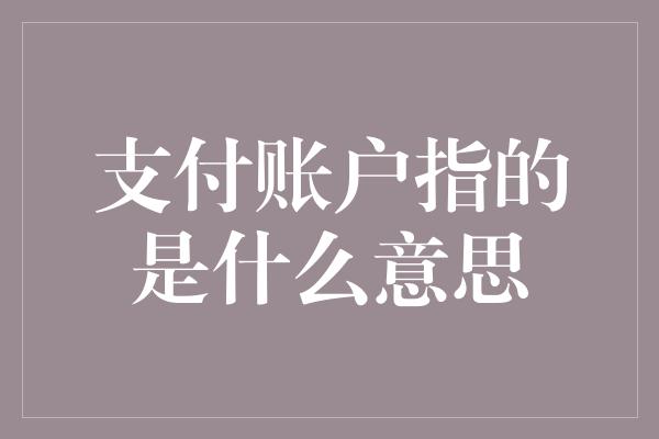 支付账户指的是什么意思