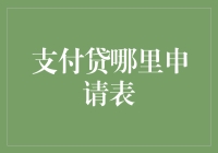 构建未来支付贷申请表设计：用户友好与个性化服务并重