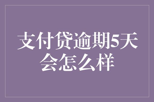 支付贷逾期5天会怎么样