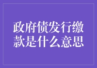 政府债发行缴款：理解地方政府融资的新视角