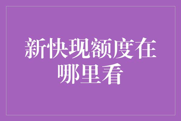 新快现额度在哪里看