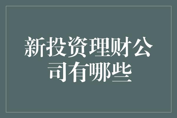 新投资理财公司有哪些