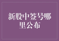 新股中签号在哪里公布？解读新股中签查询系统的操作流程