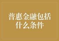 普惠金融：构建包容性金融体系的条件与挑战