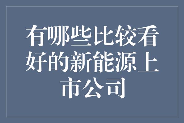 有哪些比较看好的新能源上市公司