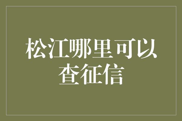 松江哪里可以查征信