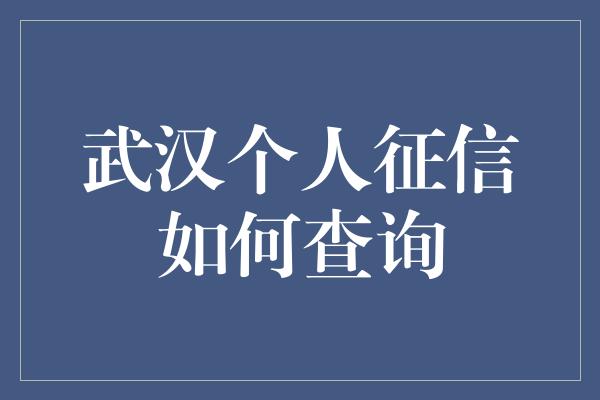 武汉个人征信如何查询