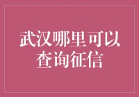 武汉地区查询征信报告的渠道与方法解析