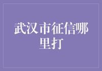 武汉市征信获取途径全攻略：轻松获取个人信用记录