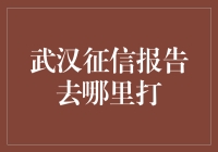 武汉征信报告获取指南：快速、便捷的查询渠道