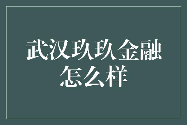 武汉玖玖金融怎么样