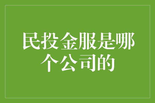 民投金服是哪个公司的