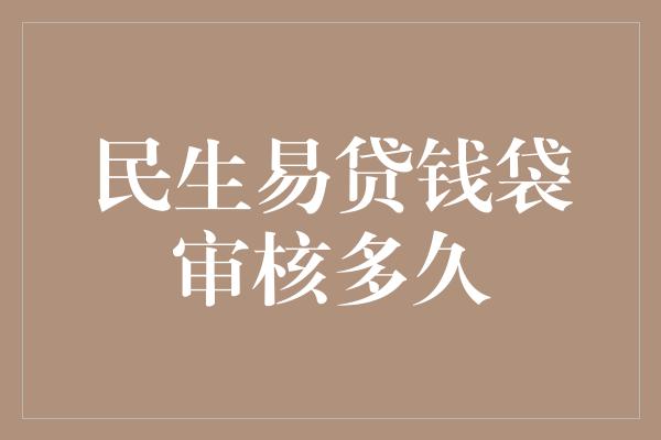 民生易贷钱袋审核多久