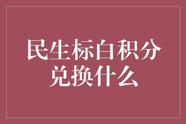 民生标白积分兑换什么