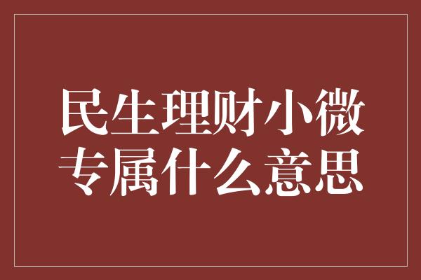 民生理财小微专属什么意思