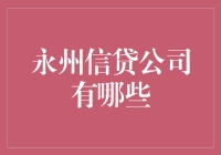 湖南省永州市信贷公司的多元化服务与特色